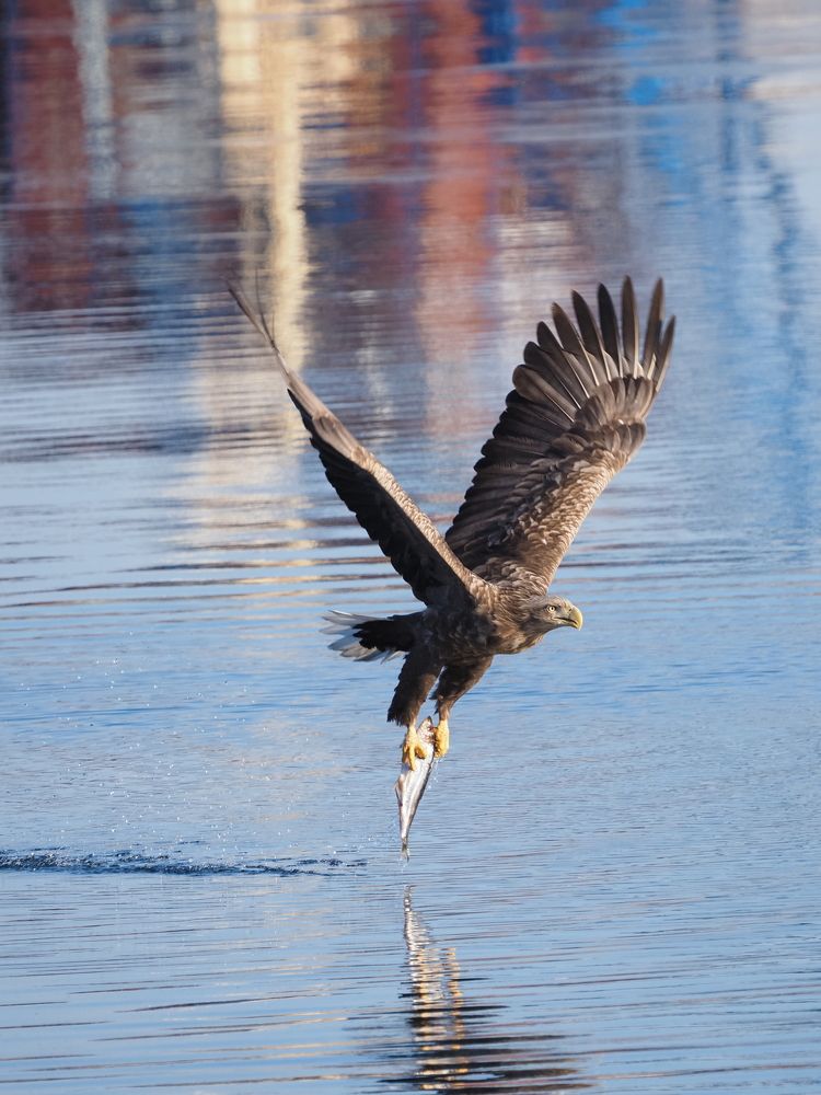 Photograph by Markov Alexander