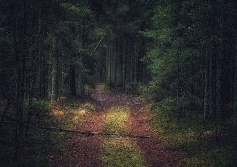 Photograph by Leanid Kulpo