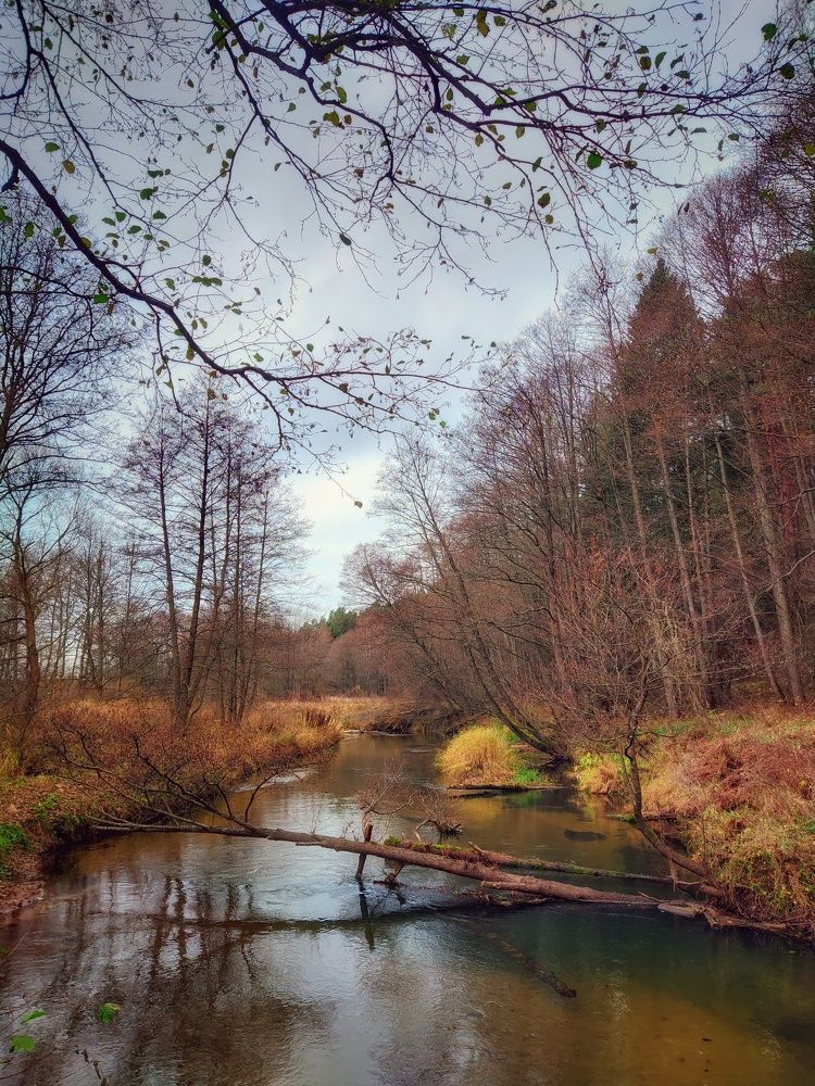 Photo #8351400