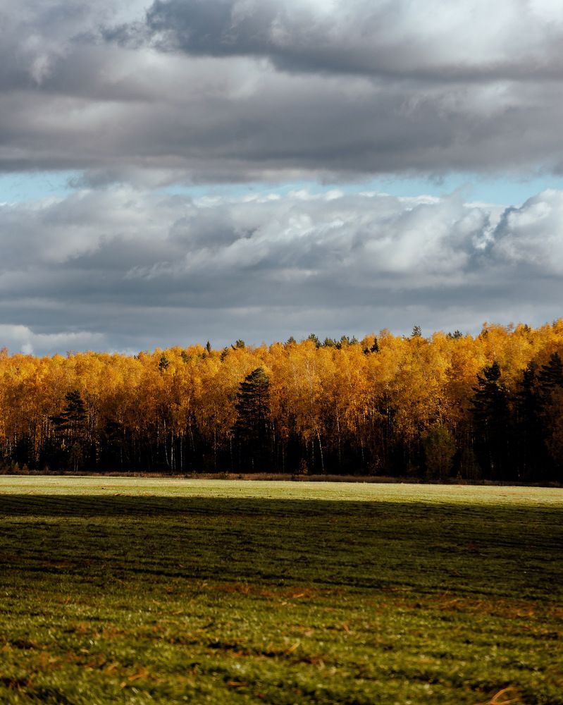 Photograph by Станислав Тюрин