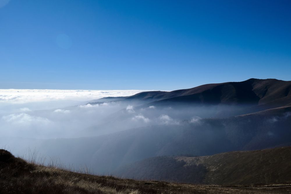 Photograph by Александр Серняк