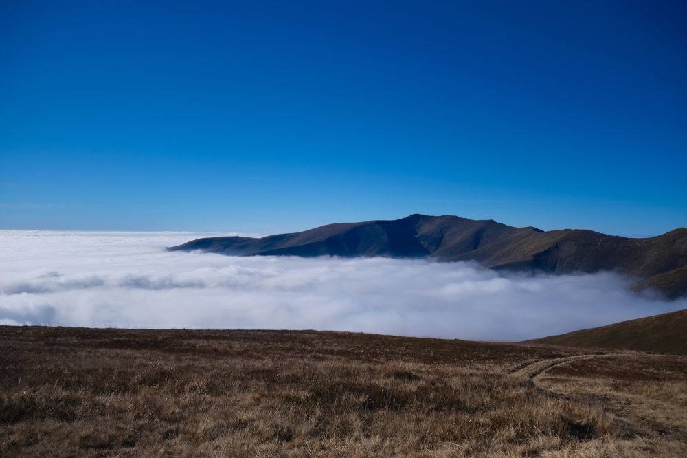 Photograph by Александр Серняк