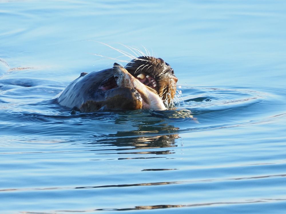 Photograph by Markov Alexander