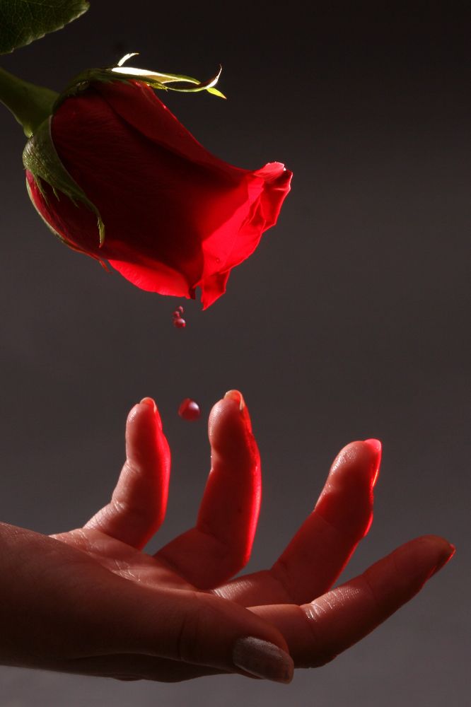 Photograph by Alik Khasanov