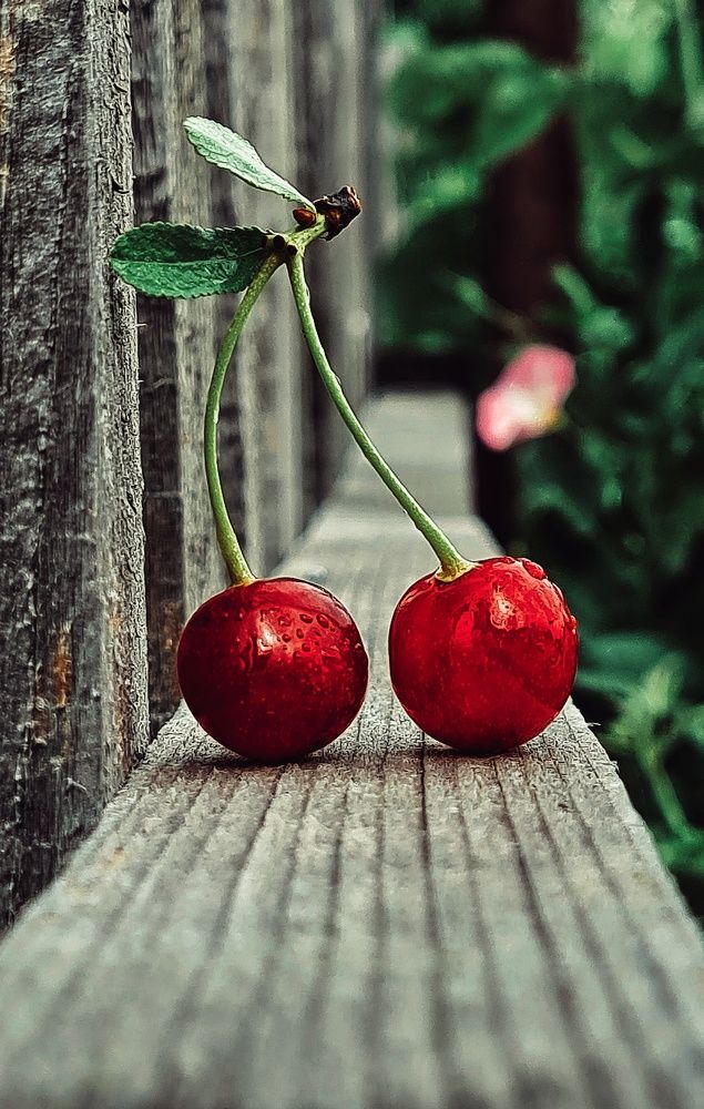 Photograph by Ольга Веселова