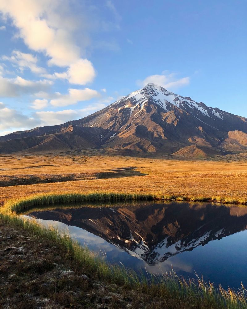 Портрет в раме