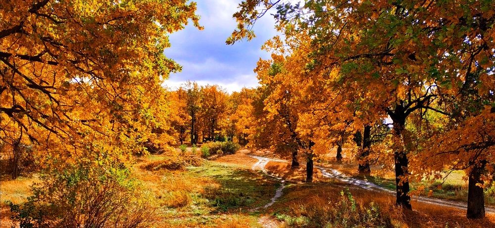 Photograph by Konstantin Martynov