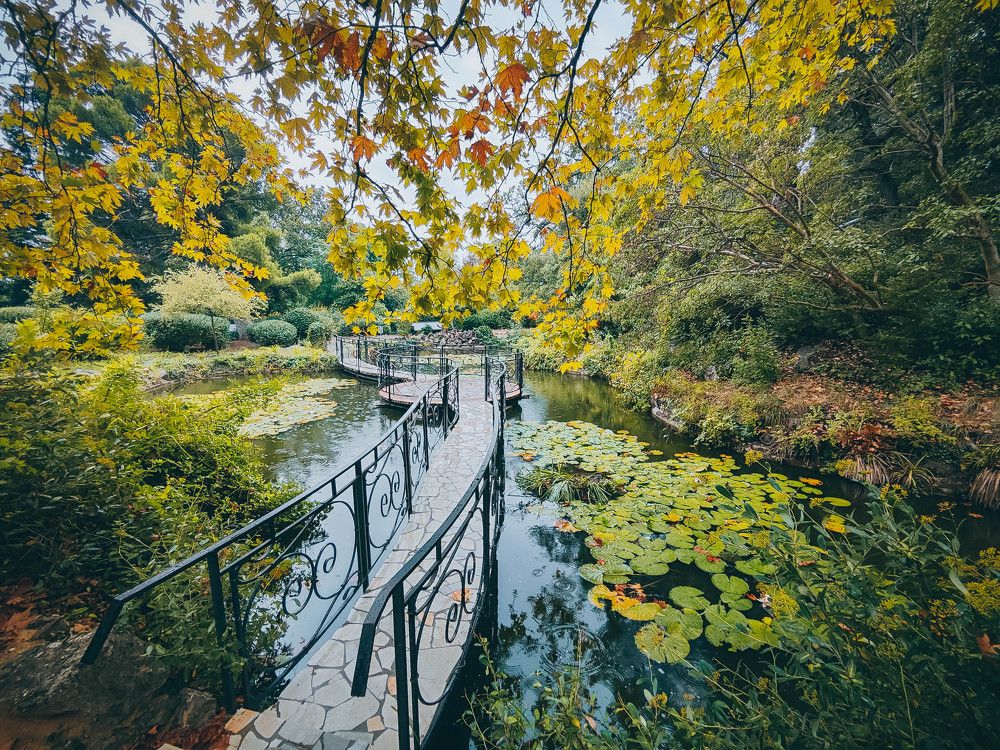 Photograph by Ирина Ри