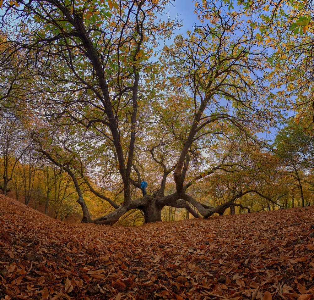 Photograph by Antonio Marquez Lanza