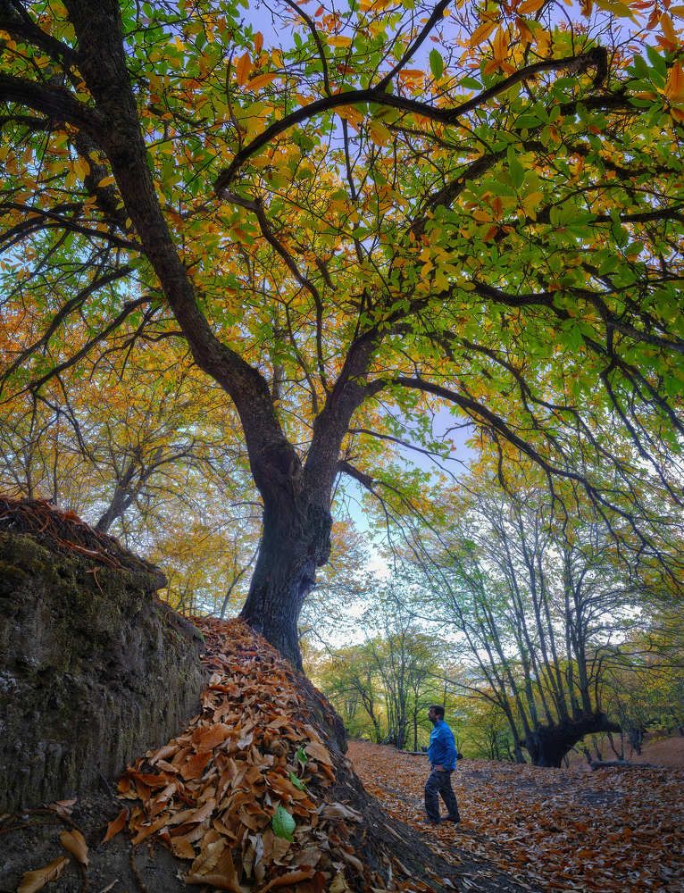 Photograph by Antonio Marquez Lanza