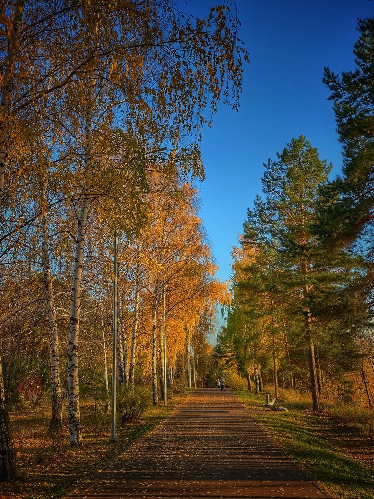 Photograph by Евгения Привалова