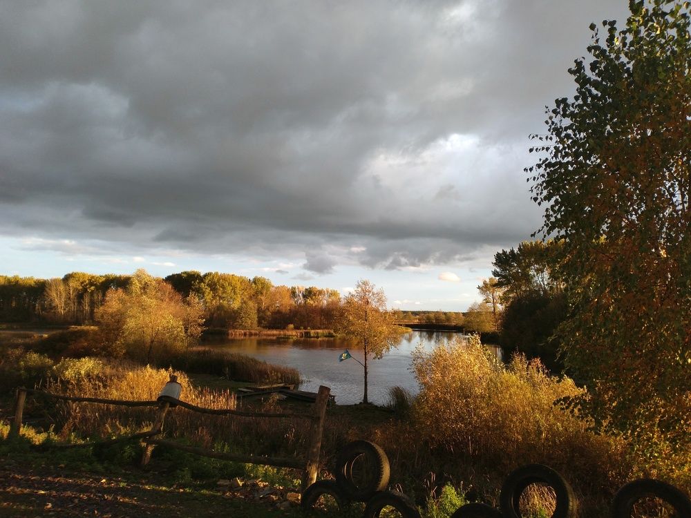 Photo #8351582