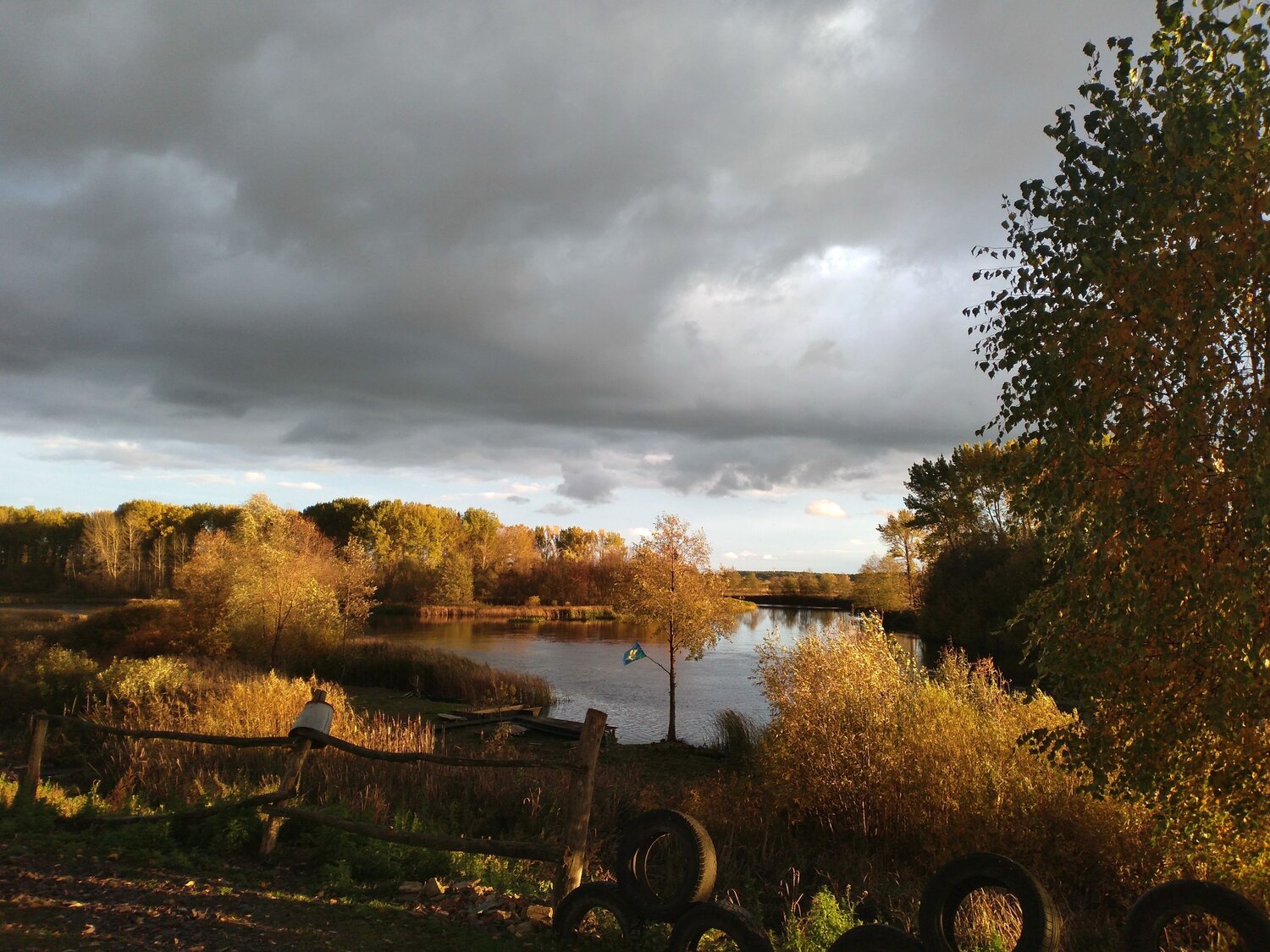 Photo #8351582
