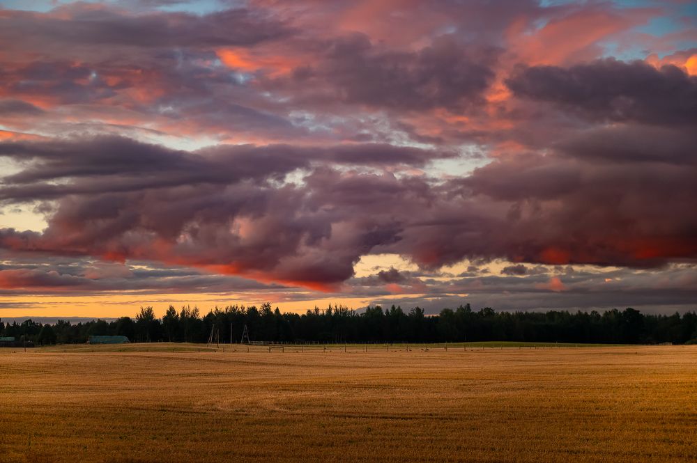 Photograph by Silvija Danelsone