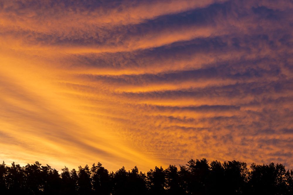 Photograph by Silvija Danelsone