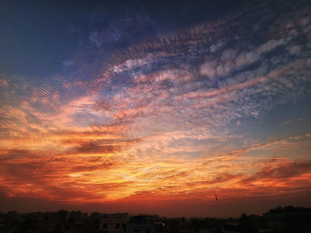 Photograph by Md. Shariful Islam Pavel