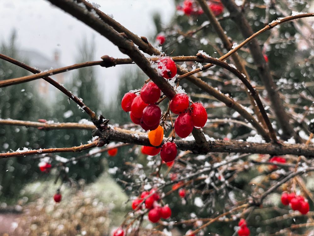 Photograph by Аскар