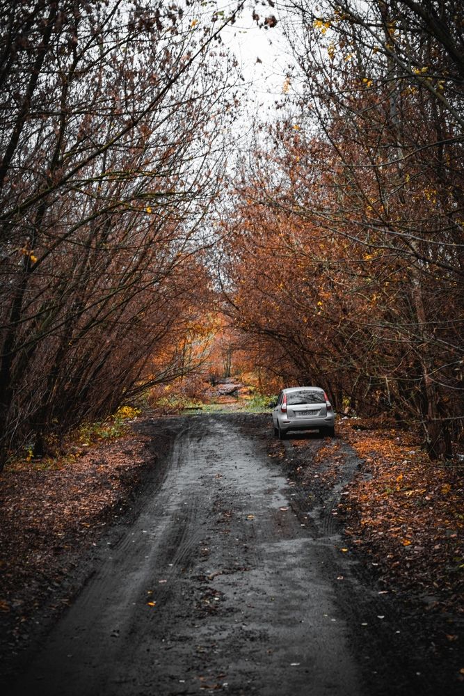 Фотография автора Григорьев Алексей