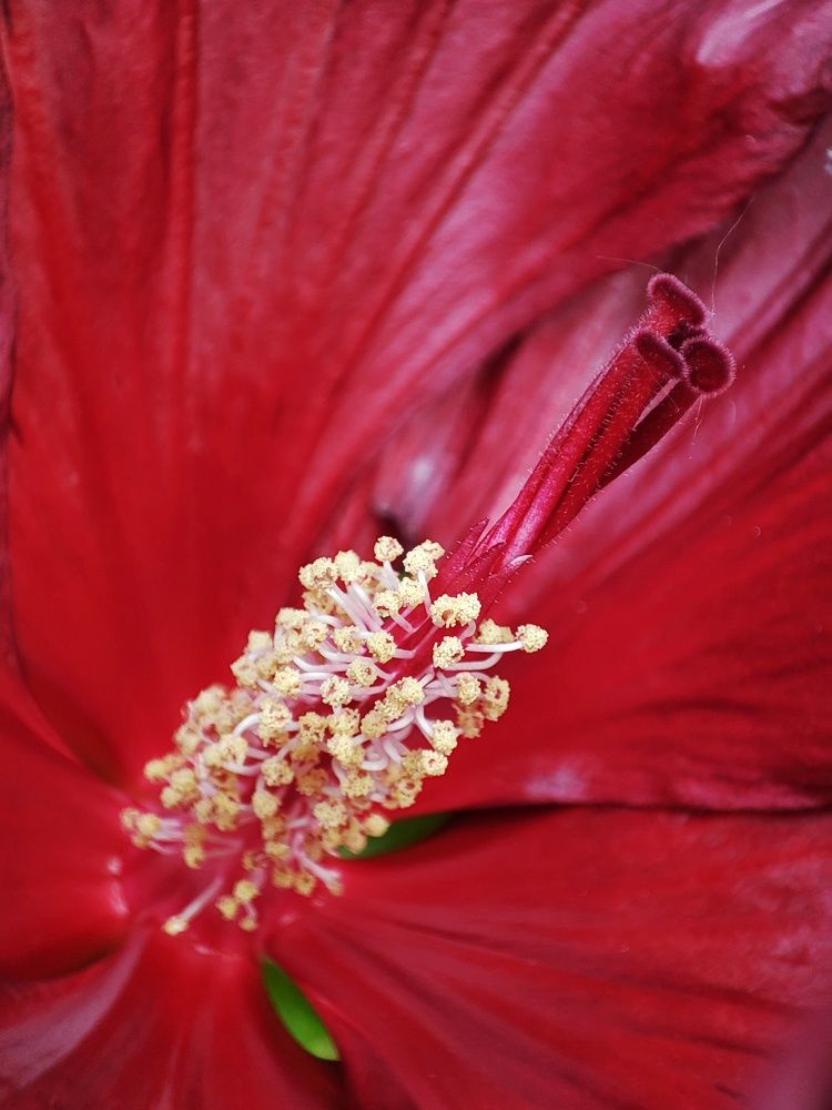 Photograph by Ольга Сучкова