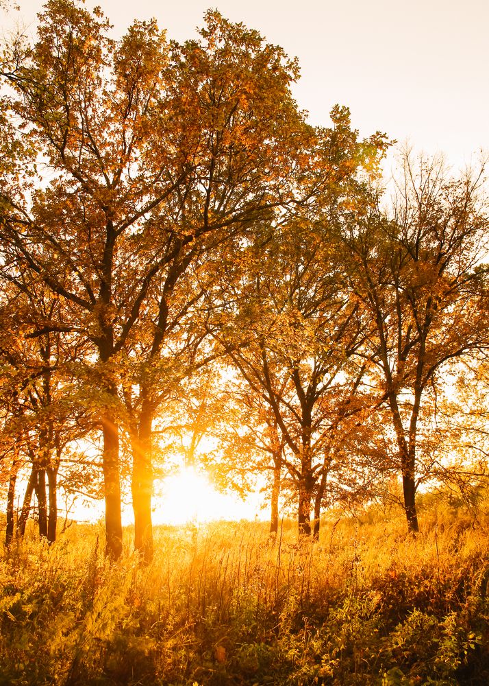 Photograph by Ирина Фатеева