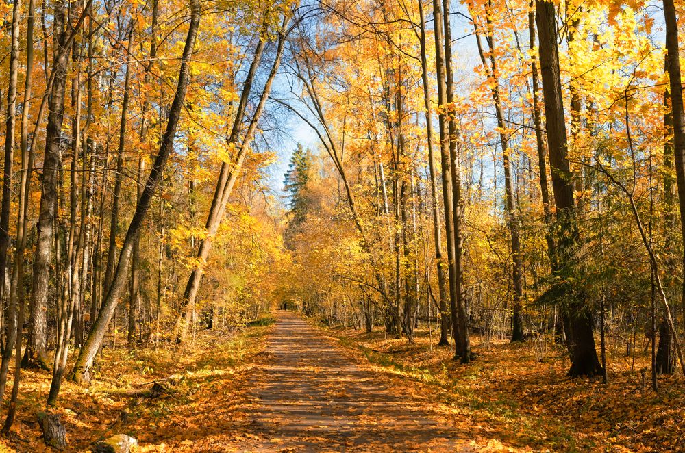 Photograph by Олег Пученков