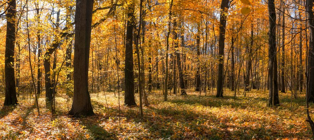 Photograph by Олег Пученков