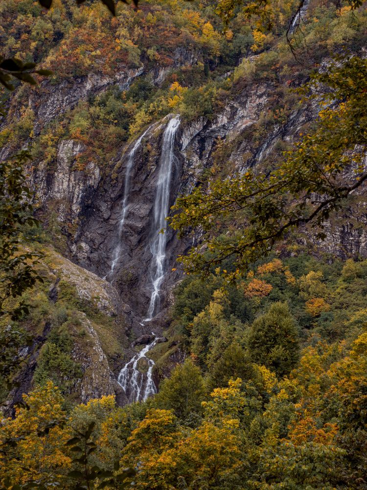 Photograph by Олеся Семенова