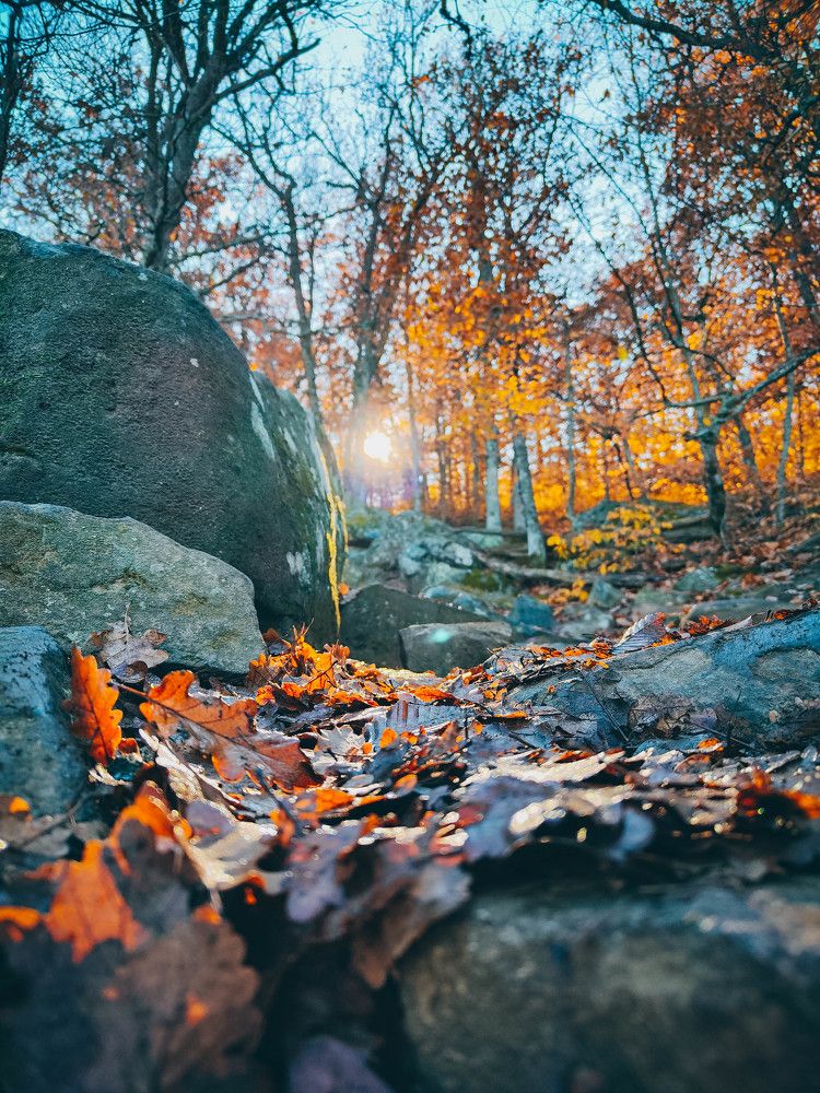 Photograph by Ирина Ри