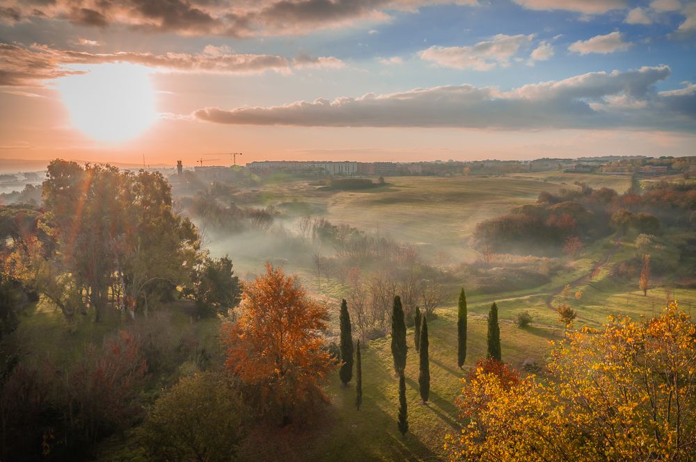 Photograph by Максимова Дария