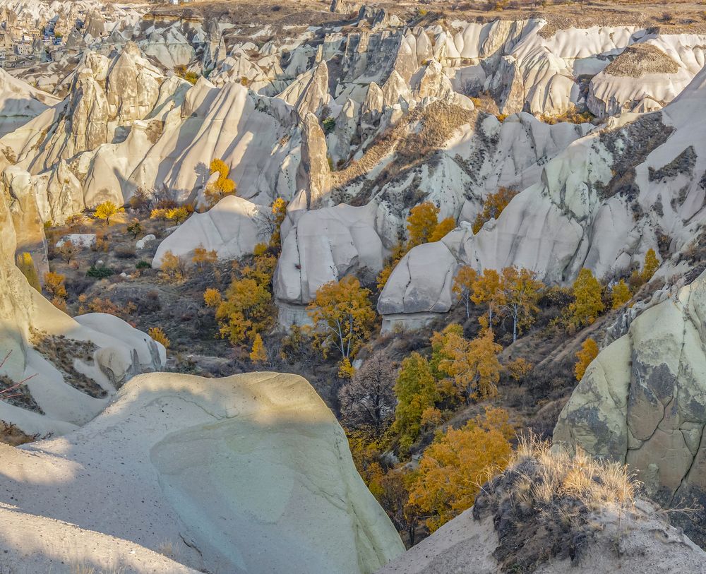 Photograph by Сергей Савчук