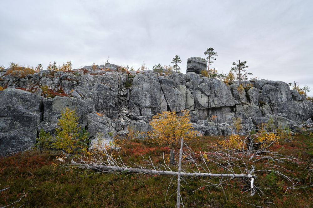 Каменный великан