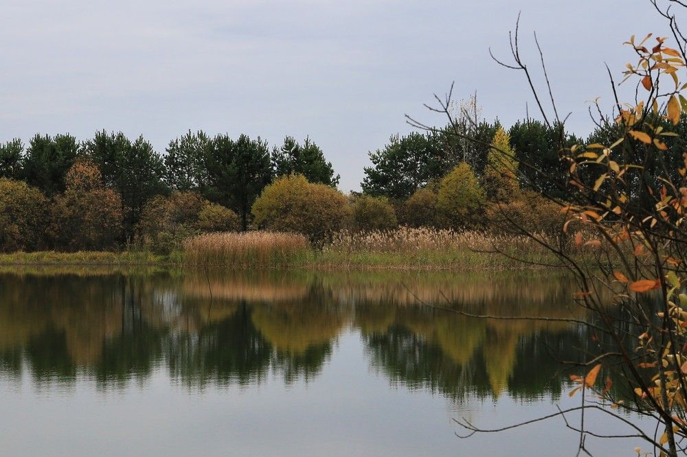 Photograph by Олеся Буланова