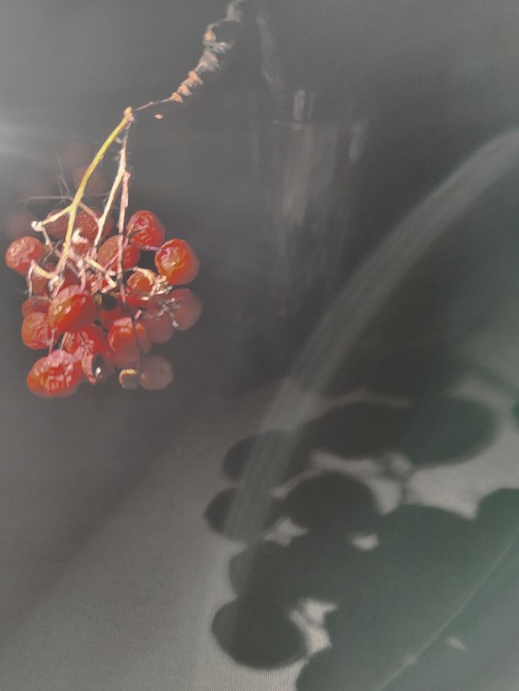 Photograph by Татьяна Гулакова