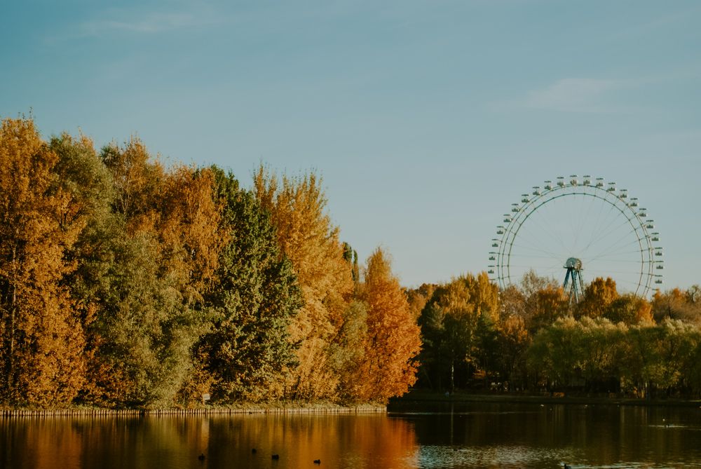 Photograph by Елена Подшевалова