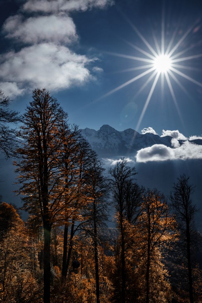 Photograph by Татьяна Власенко