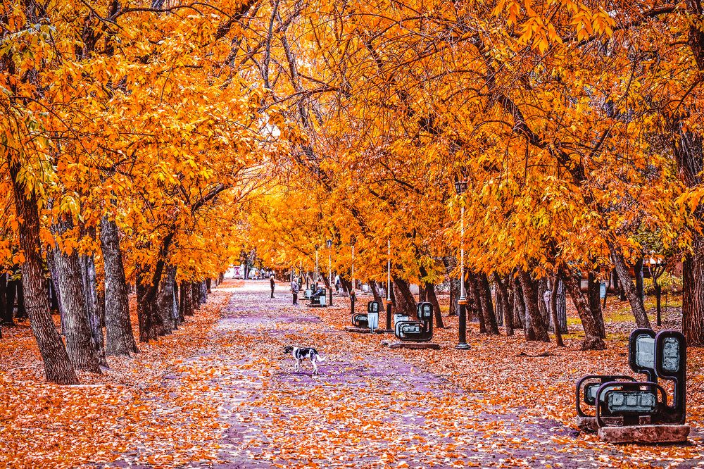 Photograph by Юлия Ковальчук