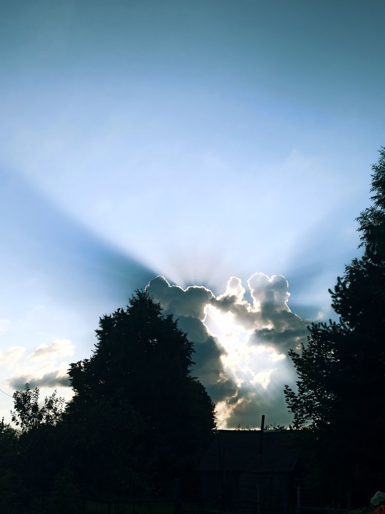 Photograph by Елена Подшевалова