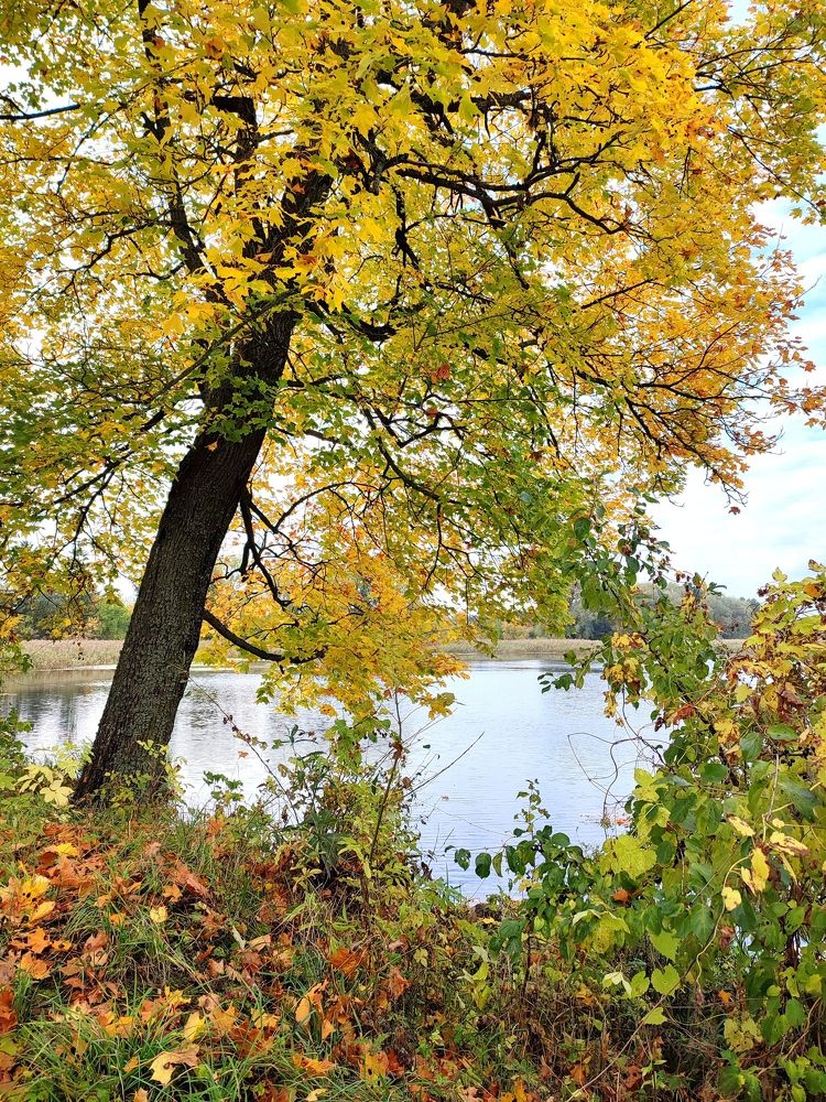 Photograph by Ольга Сучкова