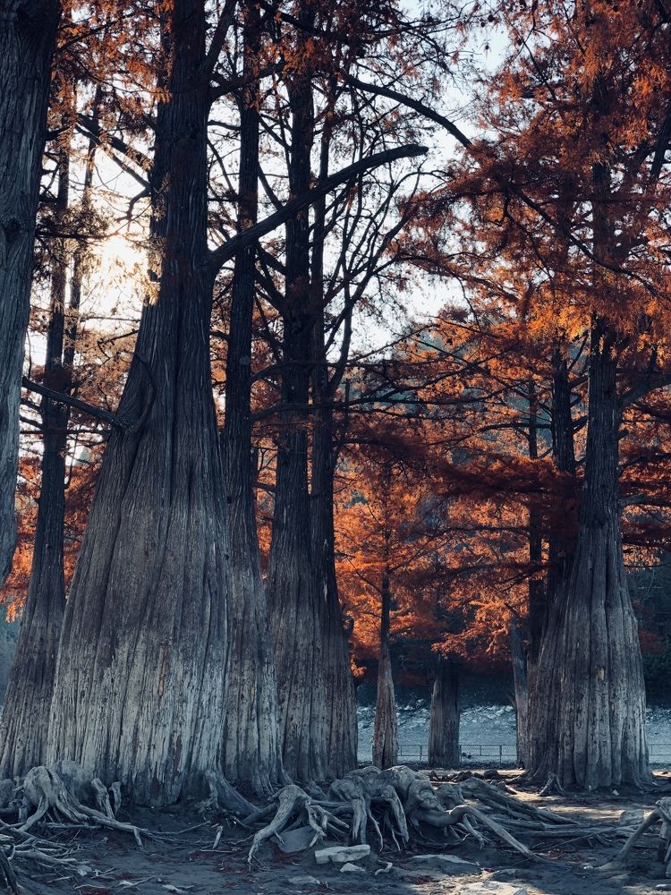 Фотография автора Natallia Kirpichova