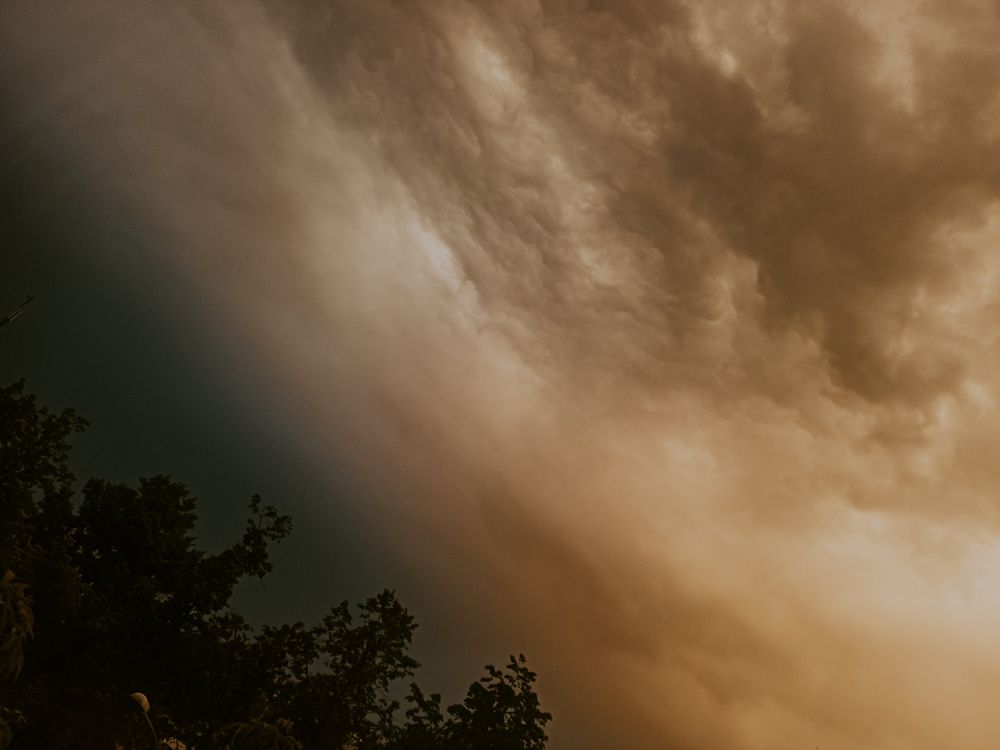 Photograph by Елена Подшевалова