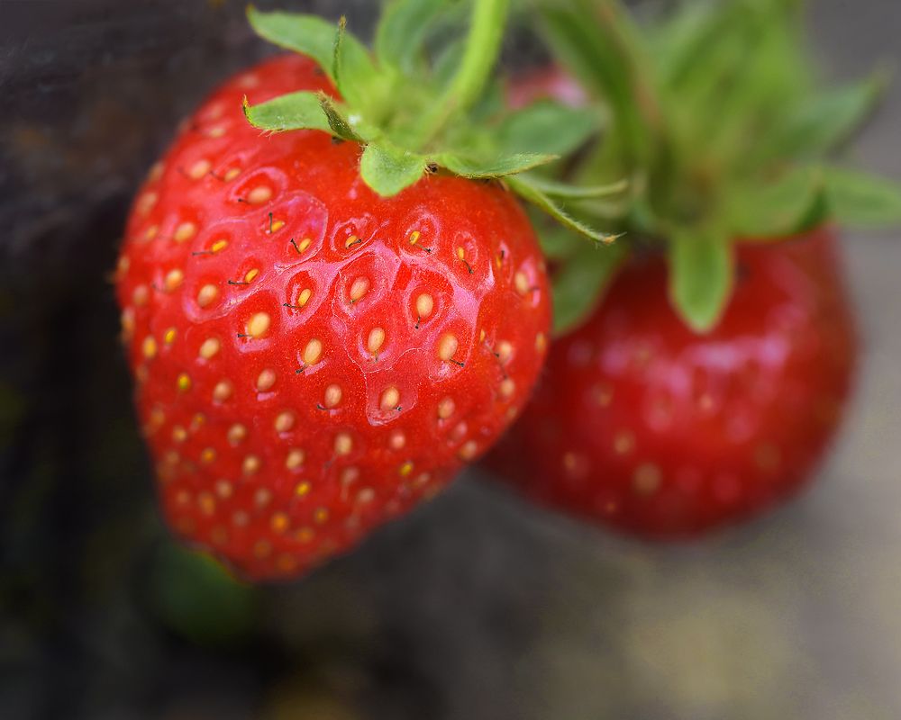 Фотография автора Александр Степочкин