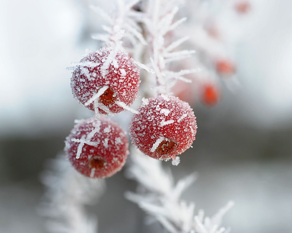 Photograph by Александр Степочкин