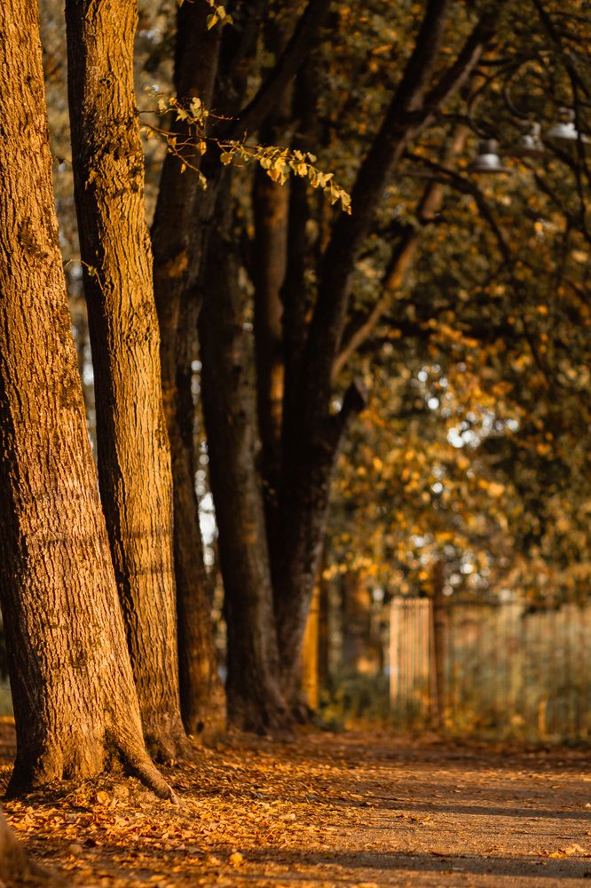 Photograph by Любовь Морозова