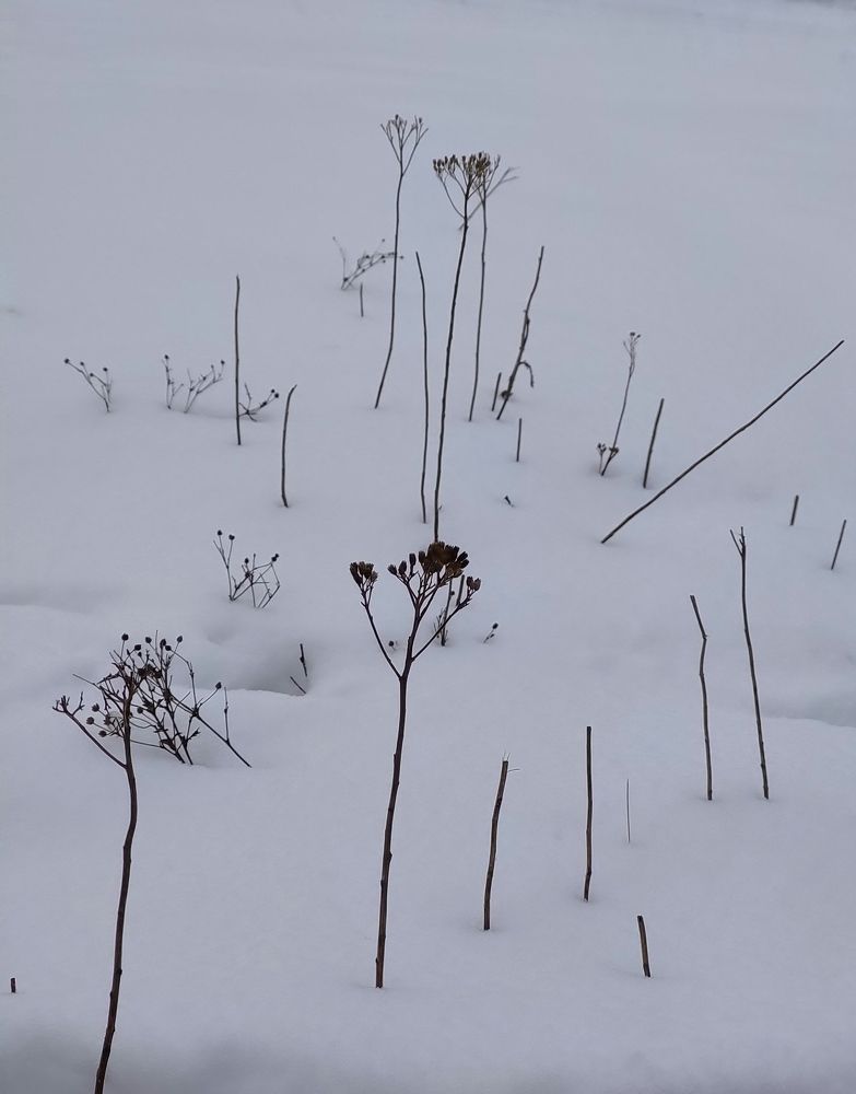 Photograph by Татьяна Панченко