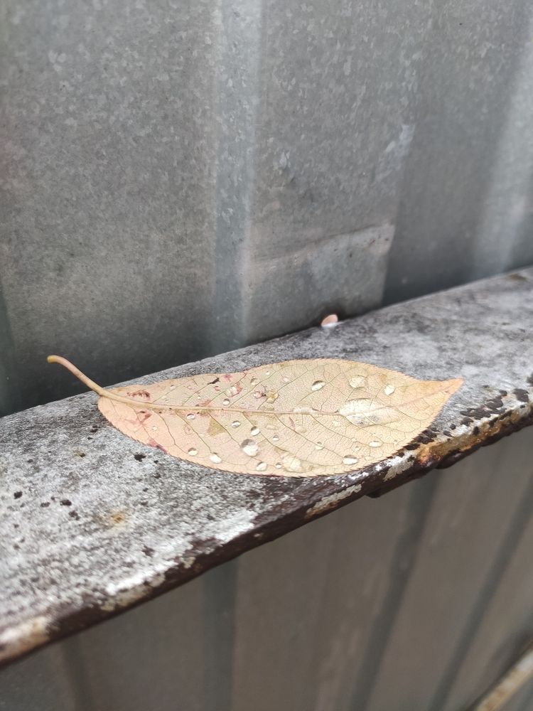 Photograph by Татьяна Панченко