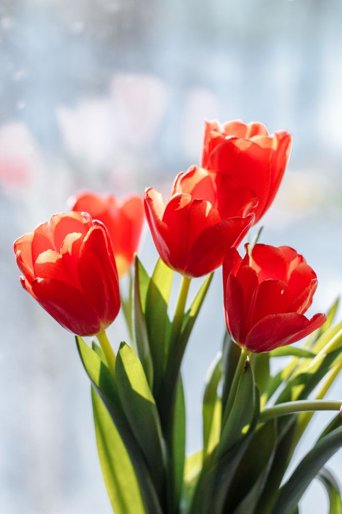 Photograph by Натали Кытманова