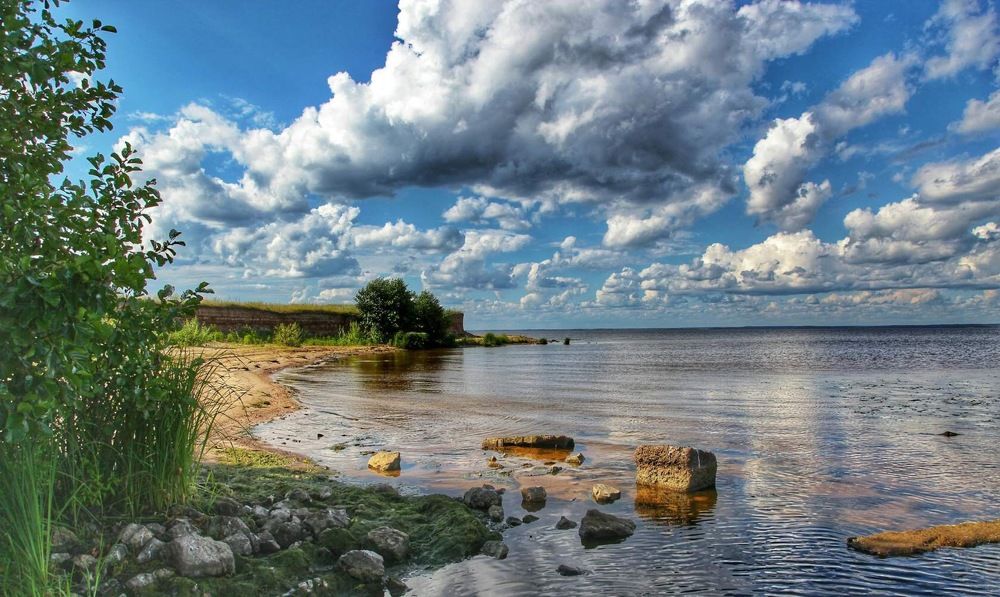 Photograph by Анастасия