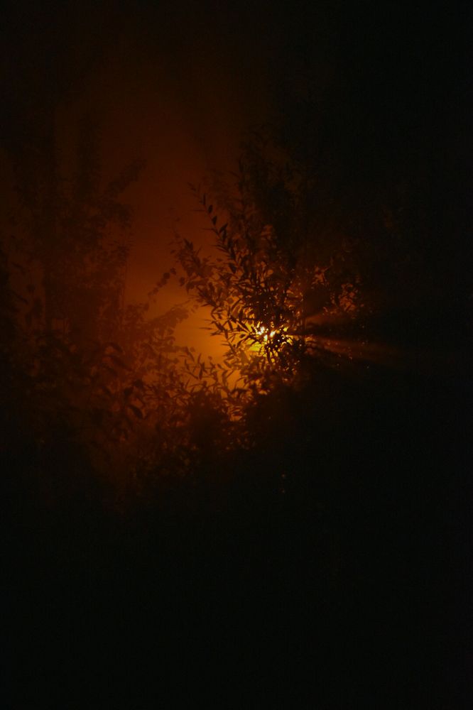 Photograph by Анна Полякова