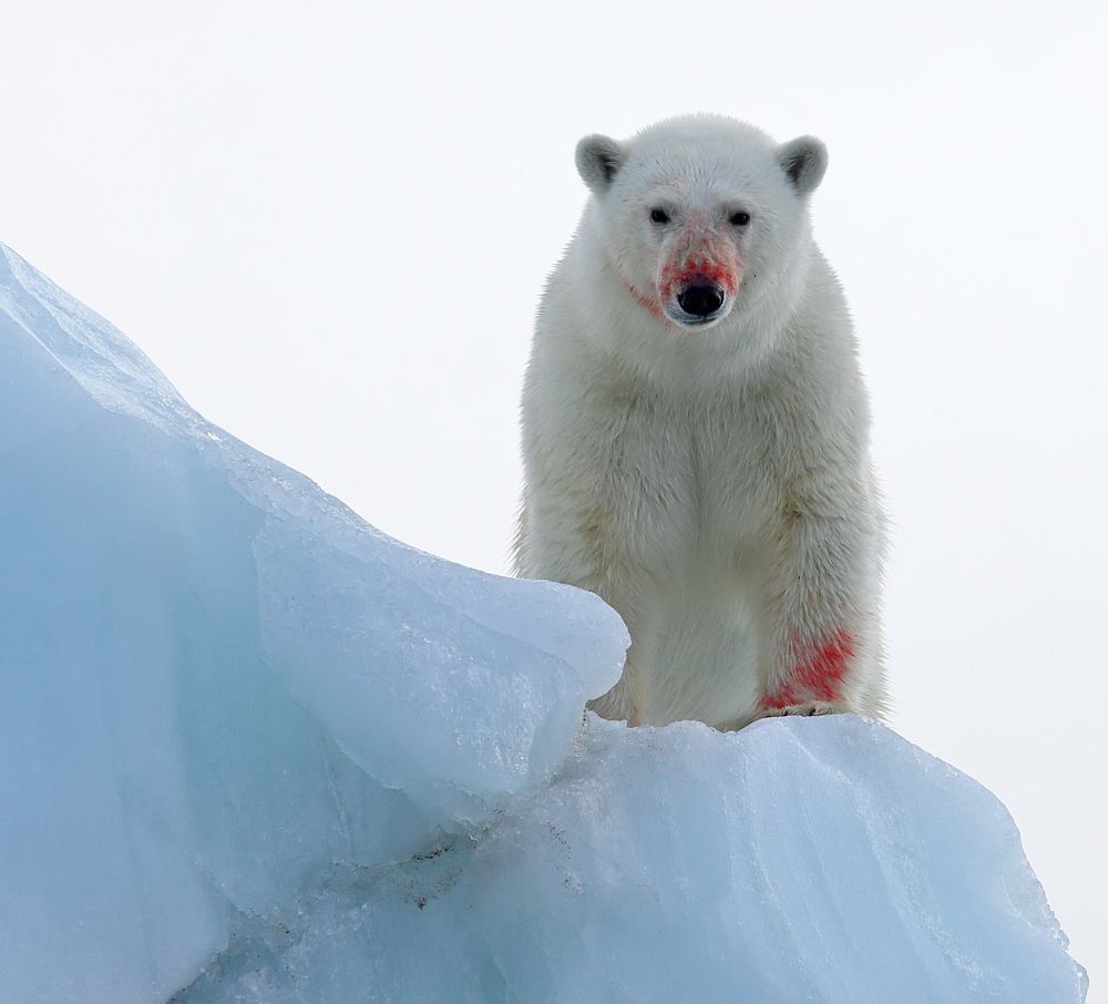 Photograph by Vladimir Melnik