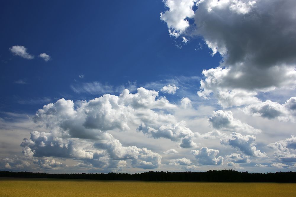 Фотография автора Александр Степочкин